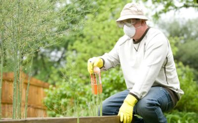 Comment se débarrasser des infestations de parasites dans votre maison