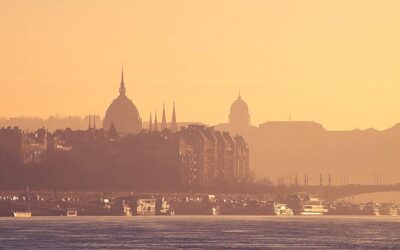 Comment les Propriétaires de Maison peuvent Lutter contre les Nuisibles en 2024